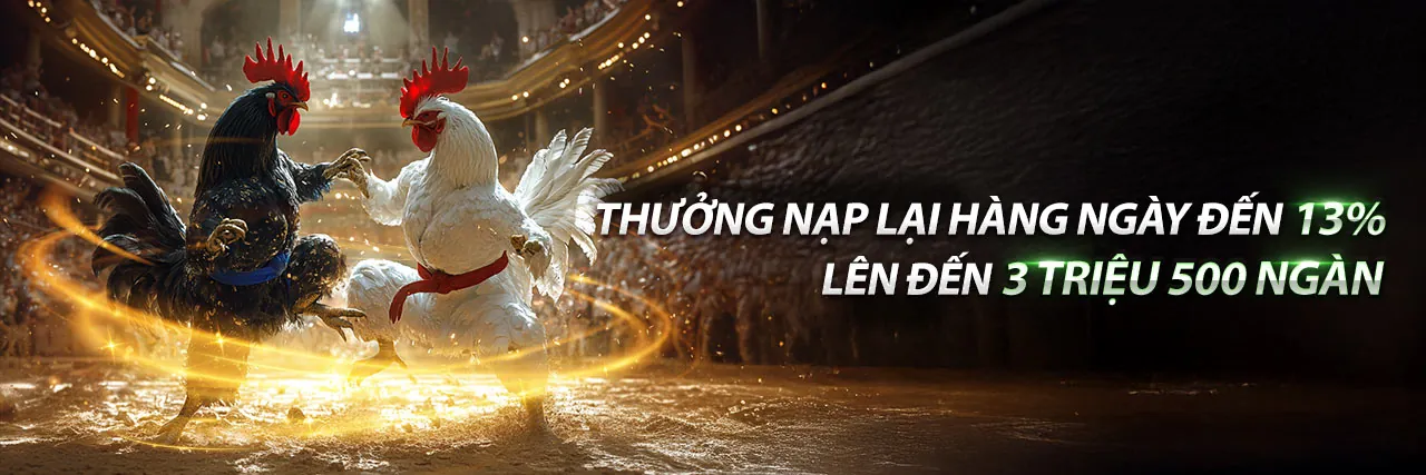 Khuyến Mãi T4Wbet Casino - Ưu Đãi Hấp Dẫn