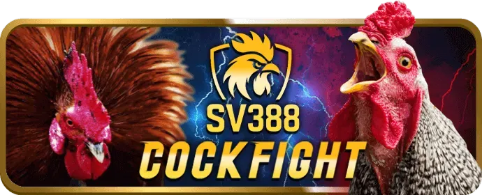Hỗ trợ 24/7 VIP